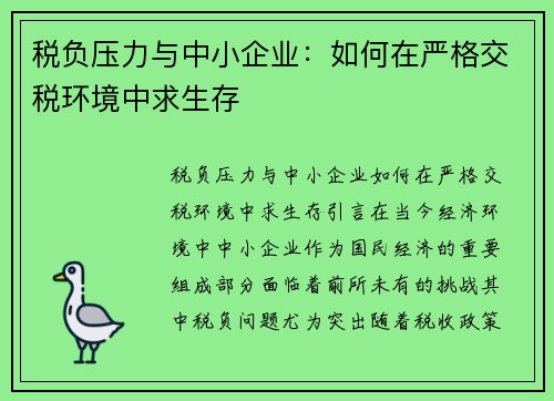 税负压力与中小企业：如何在严格交税环境中求生存