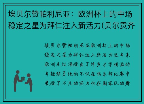 埃贝尔赞帕利尼亚：欧洲杯上的中场稳定之星为拜仁注入新活力(贝尔贡齐评价帕瓦罗蒂)